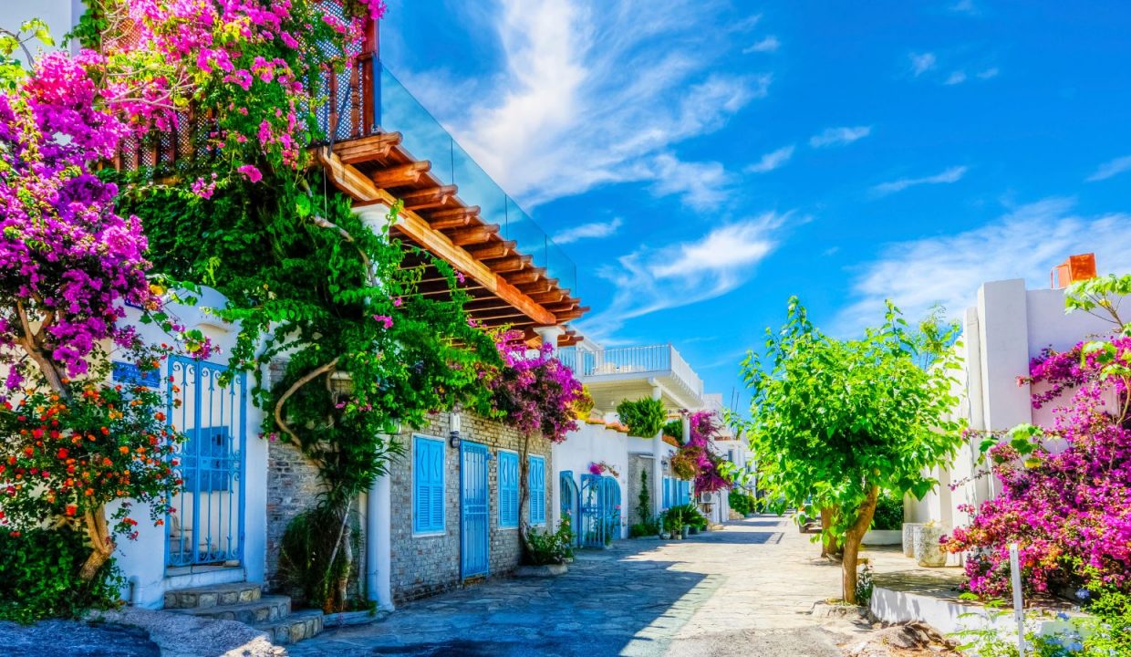 Buying a property in Turkey