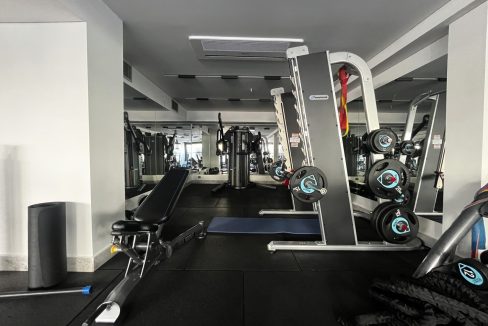 gym3